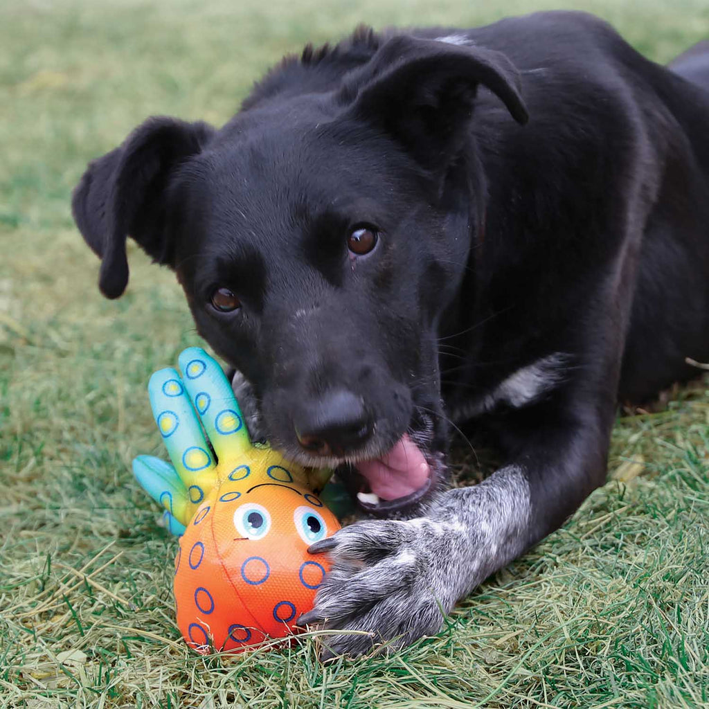 KONG Shieldz Tropics Dog Toy – Durable, Squeaker & Floats | Medium